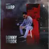 Harp Multani - DONNYBROOK - Single